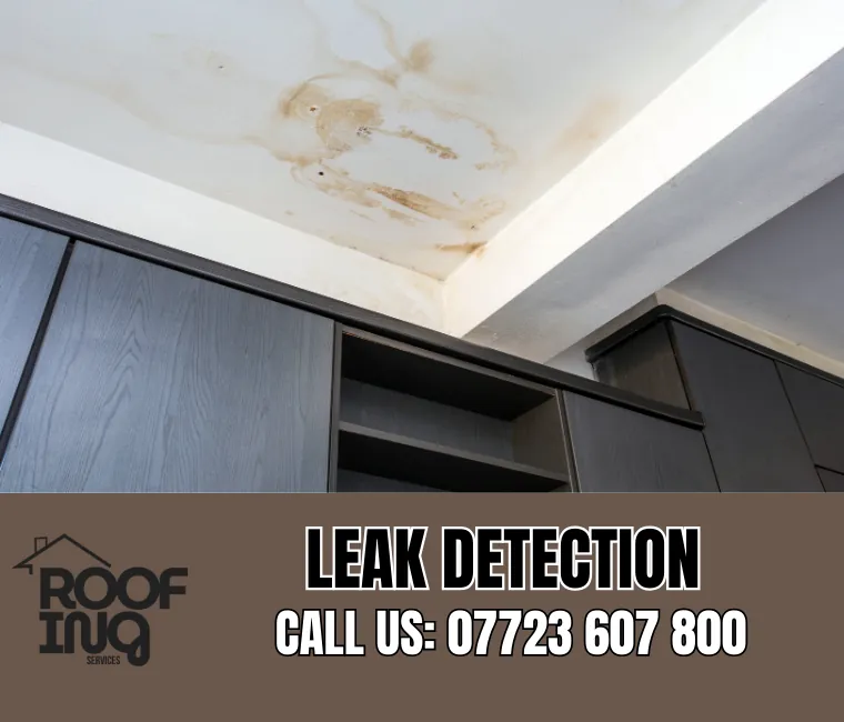 Roof Leak Detection in Tintagel