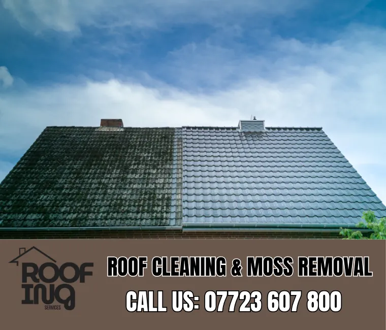 Roof Cleaning in Tintagel